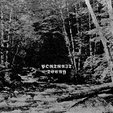 III by Portrait Decay - album cover