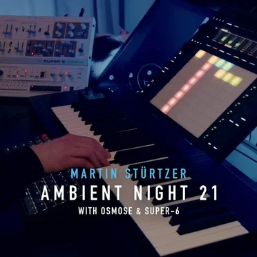 Ambient Night 21 by Martin Stürtzer - album cover