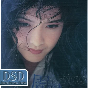 環球DSD視聽之王