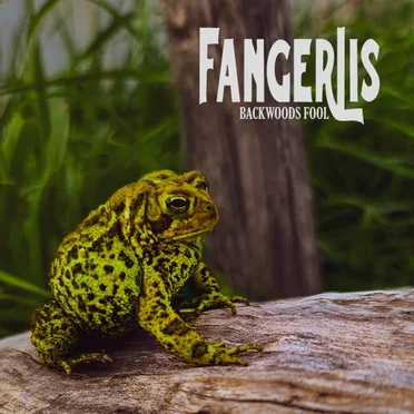 Backwoods Fool by Fangerlis - album cover