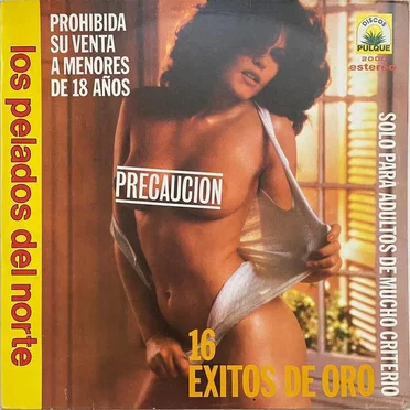 16 éxitos de oro by Los Pelados del Norte - album cover