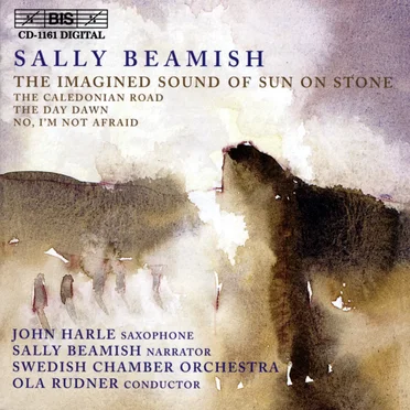The Imagined Sound of Sun on Stone