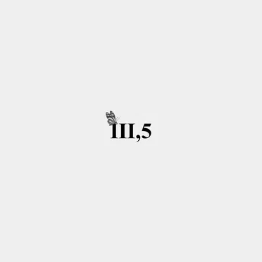 BFS III,5 by Thi Fisher - album cover