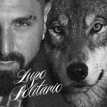 Lupo solitario