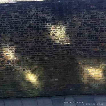 A Duck in a Tree #441, “Presentations of the Secret Teaching”