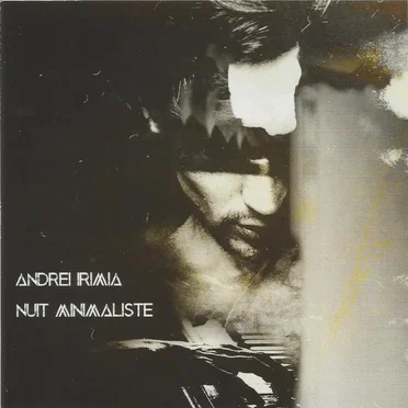 Nuit Minimaliste by Andrei Irimia - album cover