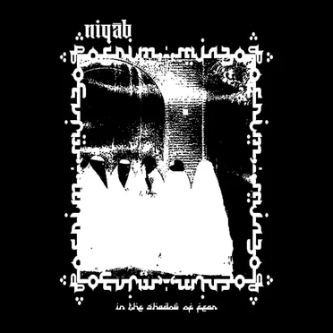 In the Shadow of Fear by Niqāb - album cover