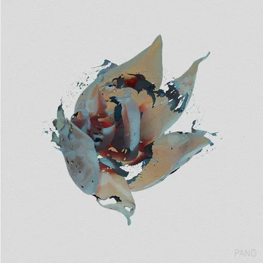 PANG, Vol.1 by Various Artists - album cover