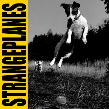 Deaf Rattle by Strange Planes - album cover