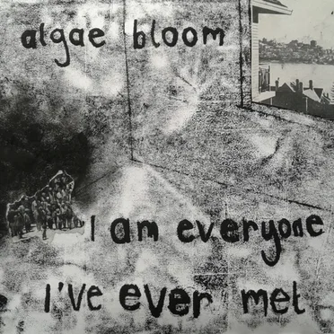 I Am Everyone I've Ever Met