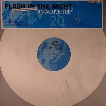 Flash in the Night