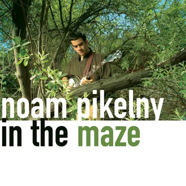 In the Maze by Noam Pikelny - album cover