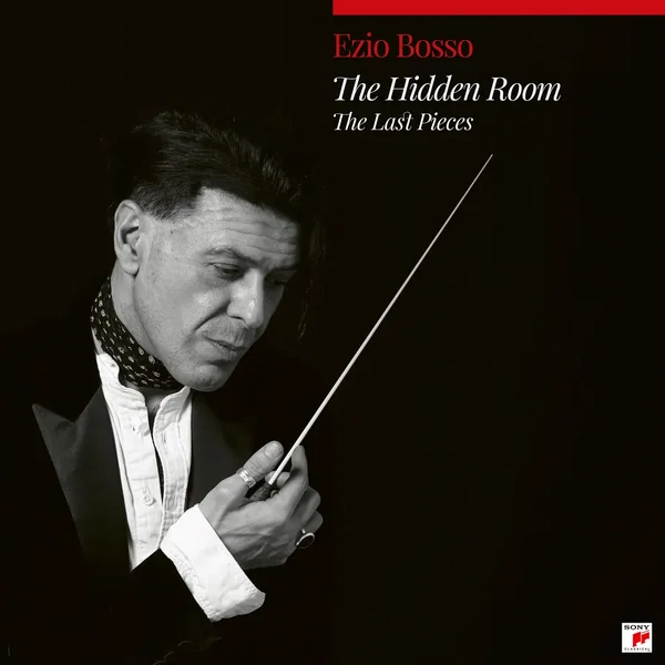 The Hidden Room (The last Pieces)