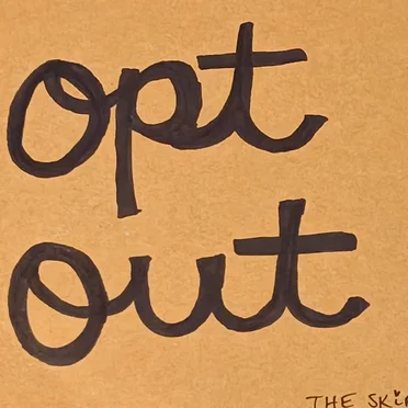 Opt Out by The Skirts - album cover