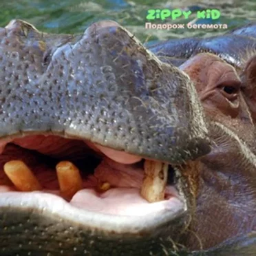 Подорож Бегемота