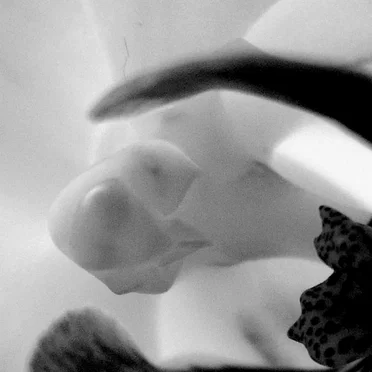 Twilight of Perception 9