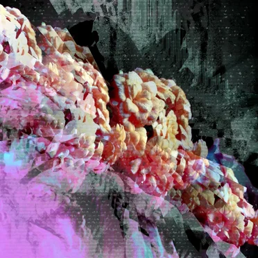 yr lyfe but i miss mine