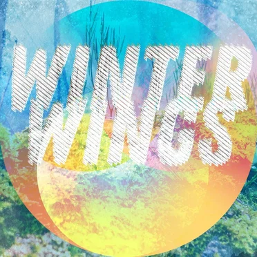 Winter Wings by Paolo Casa - album cover