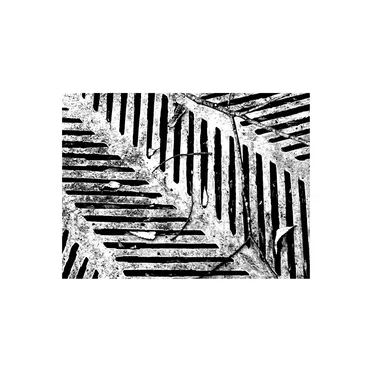 Electroacoustic Works 1