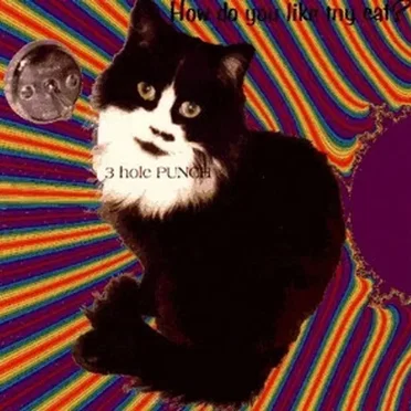 How Do You Like My Cat?
