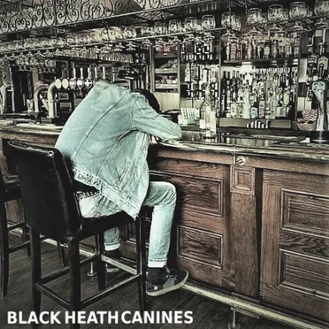 Roll the Dice by Black Heath Canines - album cover