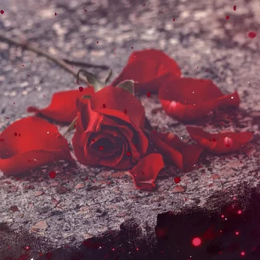 Lumière (from "Clair Obscur: Expedition 33") (lofi)