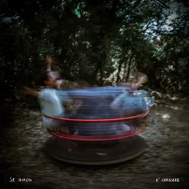 Se questo è crescere by Flowers For Boys - album cover
