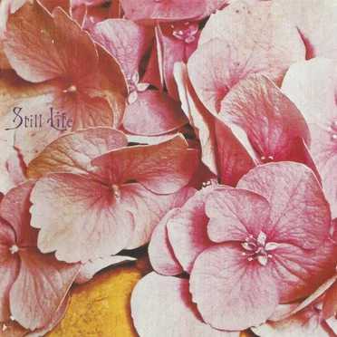 Still Life by Still Life - album cover