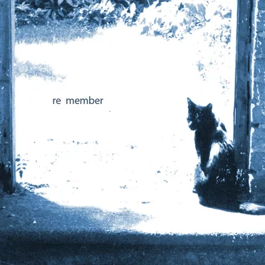 re member by Bernhard Weiss - album cover