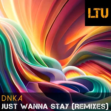Just Wanna Stay by DNKA - album cover
