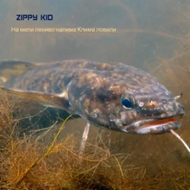 На мели лениво налима Клима ловили