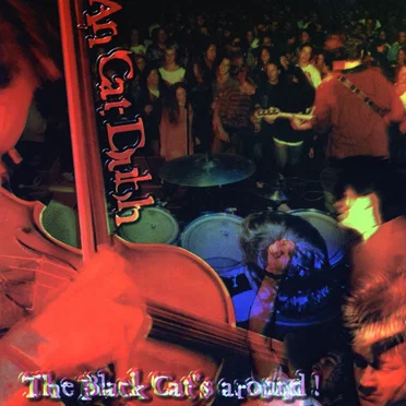 The Black Cat's Around