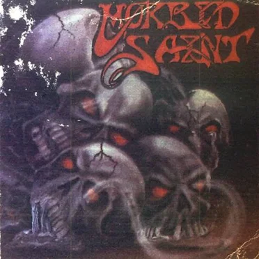 Destruction System by Morbid Saint - album cover