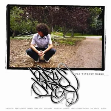 Fly Without Wings by Icarus Jones - album cover