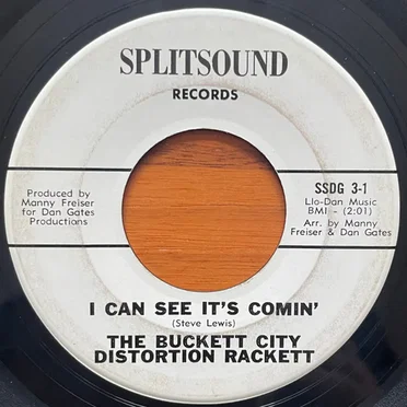 I Can See It's Coming by The Buckett City Distortion Rackett - album cover