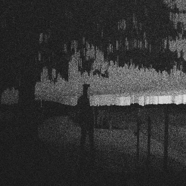 I Wrote This for You