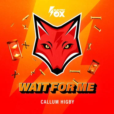 Wait for Me by Callum Higby - album cover
