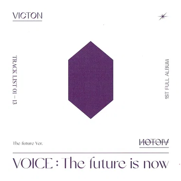 VOICE: The future is now by Viction - album cover