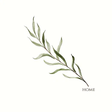 Home by Reed Pittman - album cover