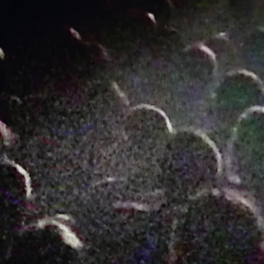 Nous vieillirons ensemble - Live à la Gaîté Lyrique - Paris 18.02.14