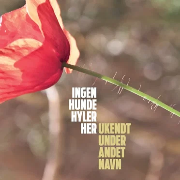 Ingen hunde hyler her