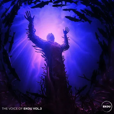 The Voice of Ekou, Vol. 3 by Various Artists - album cover