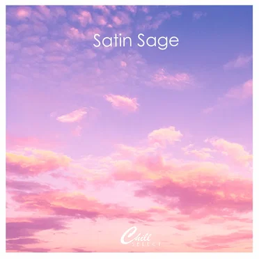 Snowday / Tobaggan by Satin Sage - album cover
