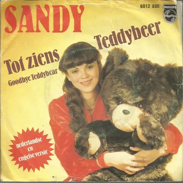 Tot ziens teddybeer