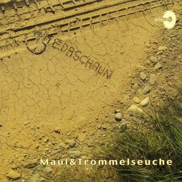 Wiedaschaun by Maul & Trommelseuche - album cover