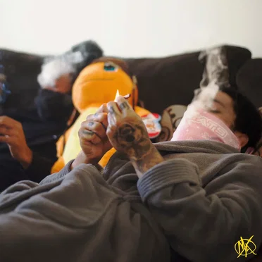 Another Big Fly 420 by BladeFox - album cover