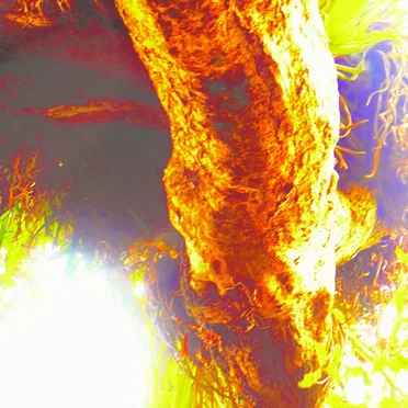 By Differing Lights