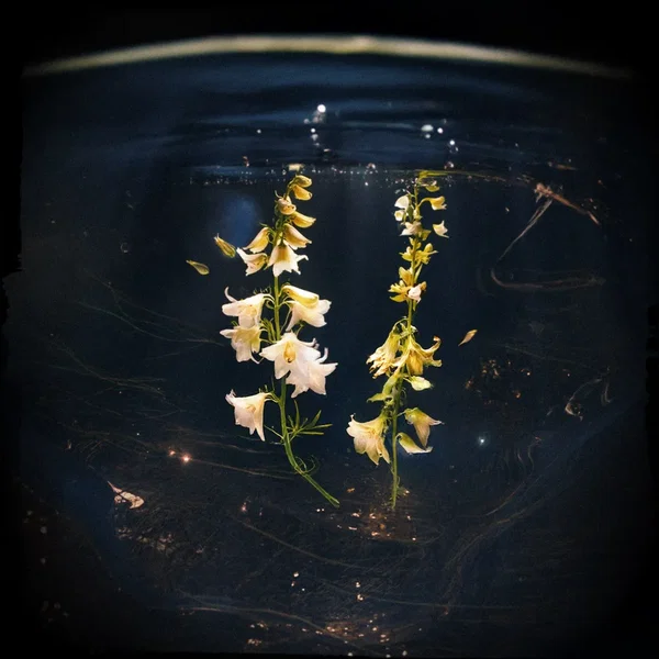 Buoyant