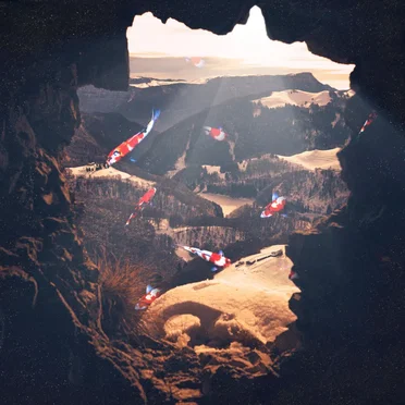 The Flood & The Garden