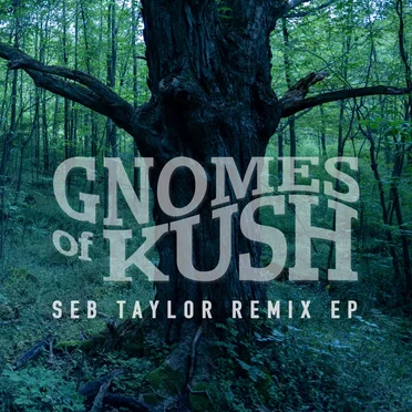 Seb Taylor Remix EP by Gnomes of Kush - album cover